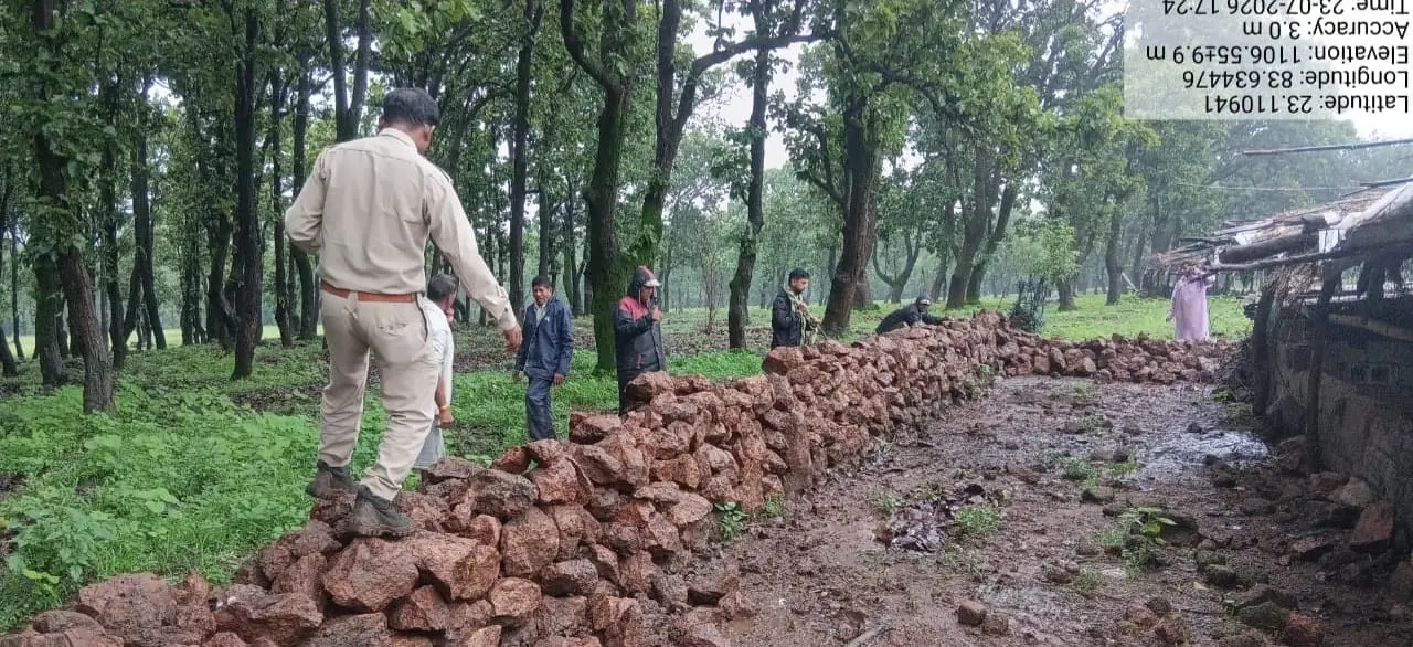 रायपुर : वन विभाग की बड़ी कार्रवाई: अवैध अतिक्रमण हटाकर वनभूमि कराई मुक्त, तत्काल शुरू किया गया पौधरोपण