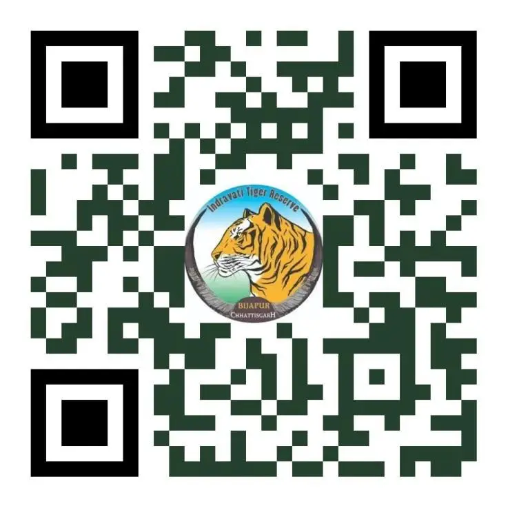 रायपुर : अंतरराष्ट्रीय बाघ दिवस पर होगा रन फॉर इंद्रावती मैराथन का आयोजन