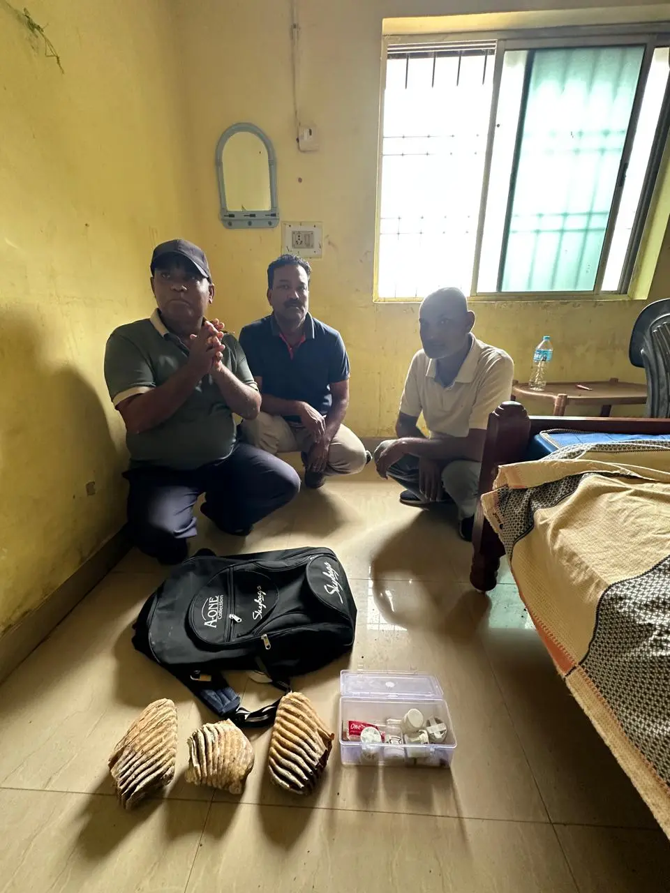 रायपुर : हाथीदांत तस्करी पर वन विभाग की बड़ी कार्रवाई