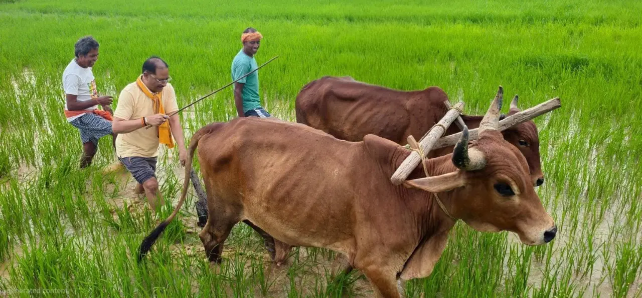 रायपुर : अपनी माटी और खेती-किसानी से मुख्यमंत्री श्री विष्णु देव साय का आत्मीय जुड़ाव