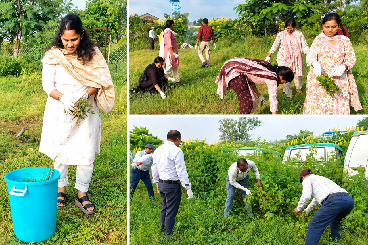 सेवा संकल्प में अधिकारियों-कर्मचारियों ने थामा झाड़ू, श्रमदान से दिया स्वच्छता का संदेश
