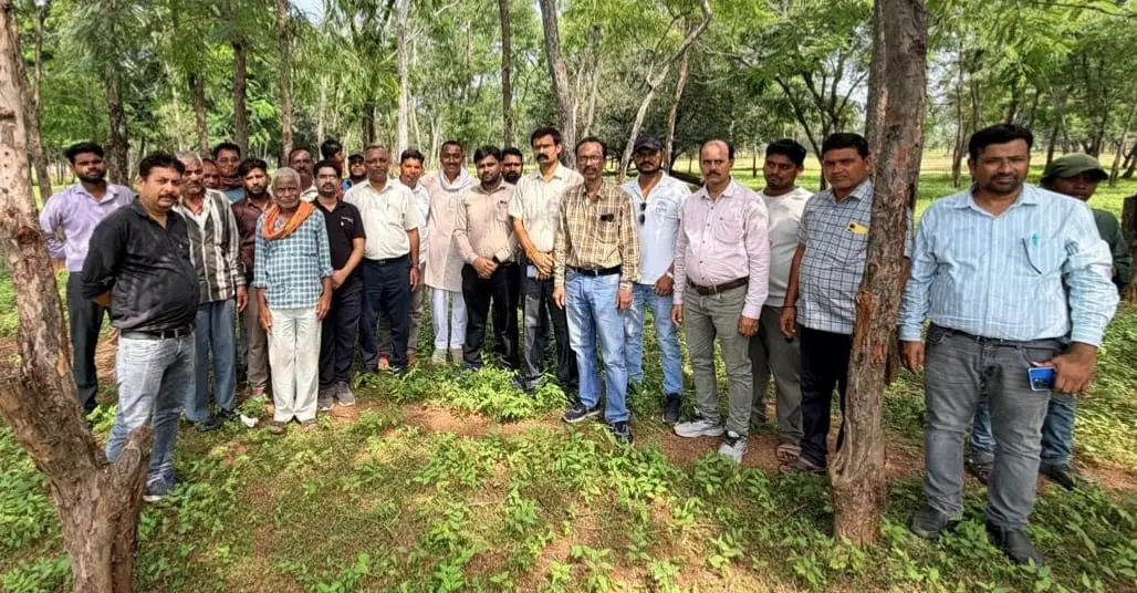रायपुर : गांधी जयंती पर हरित भविष्य का संकल्पः चित्रोत्पला फिल्म सिटी में वृहद पौधारोपण अभियान