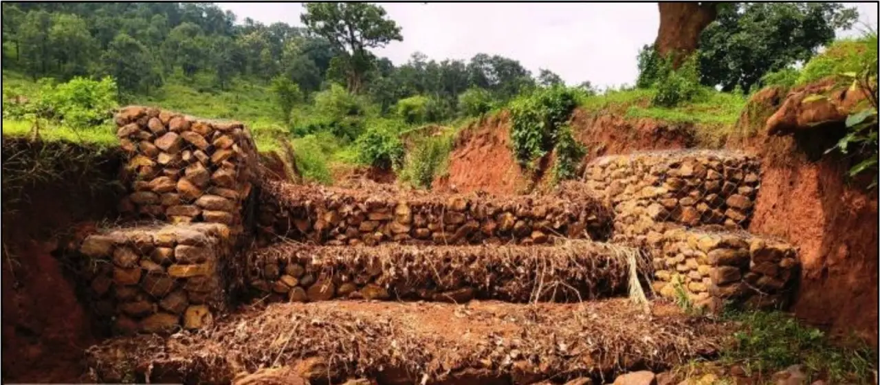 रायपुर : बस्तर में जल एवं मृदा संरक्षण की मिसाल बनी कुरमंडी नाले पर निर्मित गेबियन संरचना