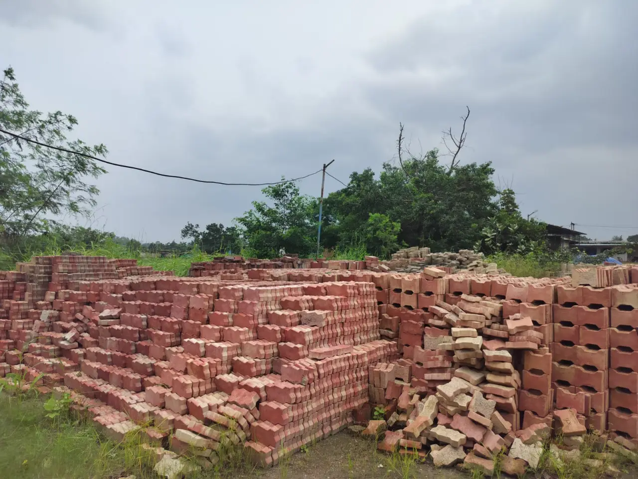 कोरिया : सेवा की कहानी : जीवटता और परिश्रम से गढ़ी आत्मनिर्भरता की राह, सुषमा साहू अब 10-12 महिलाओं को भी दे रहीं रोजगार
