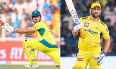 मार्कस स्टोइनिस ने एमएस धोनी का विजयी मंत्र का किया खुलासा