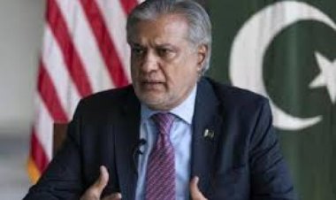 पाकिस्तान के विदेश मंत्री इसहाक़ डार को देश का उप-प्रधानमंत्री नियुक्त किया गया