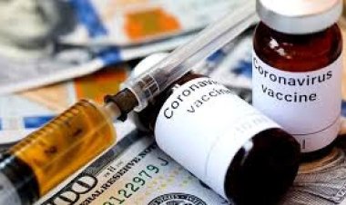 कोविड पर रिपोर्टिंग करने वाली चीनी पत्रकार चार साल बाद रिहा