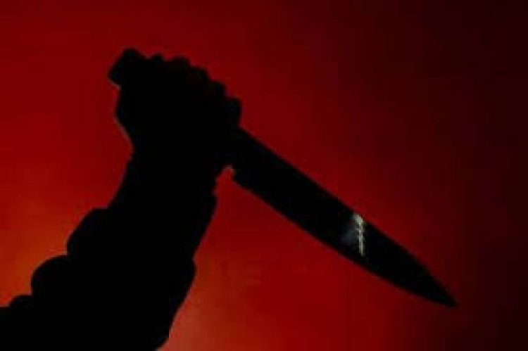 जर्मनी : मैनहेम शहर में चाकू से हमला कर व्यक्ति ने कई लोगों को घायल किया