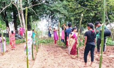 1000 दीदियों की बाड़ी में मचान विधि से लगाई जा रही है सब्जी