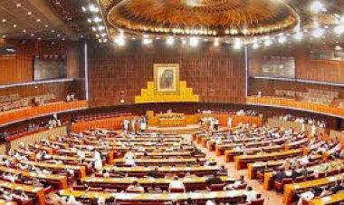 पाकिस्तानी संसद में चूहों ने बढ़ाई मुश्किलें, कुतरीं ज़रूरी फाइलें