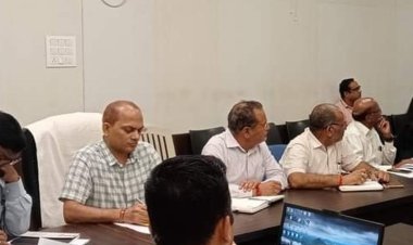 कलेक्टर ने अधिकारियों की बैठक ली:सड़कों से गोवंश हटाने अस्थायी बेड़ा बनाने के दिए निर्देश