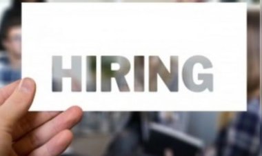 भारत में ई-कॉमर्स, इंजीनियरिंग और इन्फ्रास्ट्रक्चर सेक्टर में मिल रही फ्रेशर्स को सबसे ज्यादा नौकरियां