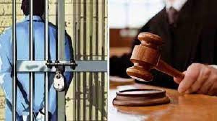Ambikapur Crime : पत्थर से सिर पर वार कर पत्नी की हत्या...पति को आजीवन कारावास की सजा...पढ़ें पूरी खबर