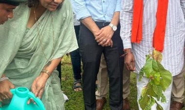 मुख्यमंत्री विष्णु देव साय के मार्गदर्शन में राज्य में पहली बार वृहद स्तर पर शुरू हुआ महुआ पेड़ों का संरक्षण : महुआ बचाओ अभियान अंतर्गत लगाए गए 30,000 पौधे