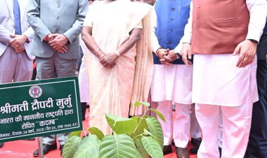 राष्ट्रपति श्रीमती द्रौपदी मुर्मु ने विधानसभा परिसर में किया कदम्ब का पौधरोपण