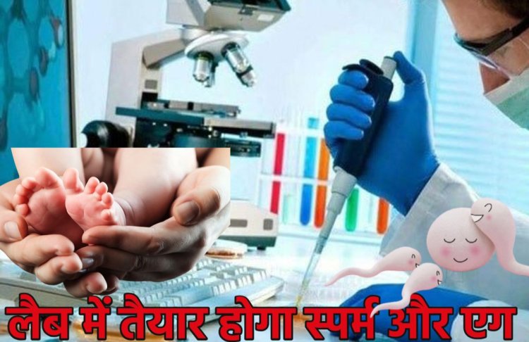 Big News : अब सूनी नहीं रहेगी कोई गोद.! लैब में तैयार होगा स्पर्म और एग..त्वचा व रक्त कोशिकाओं से बनेंगी यौन कोशिका..पढ़ें ये खबर