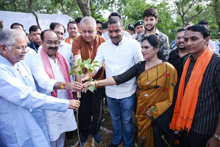 रायपुर : प्रकृति को मां जैसा सम्मान दें : अरूण साव, 'वन महोत्सव में शामिल हुए उप मुख्यमंत्री',,,