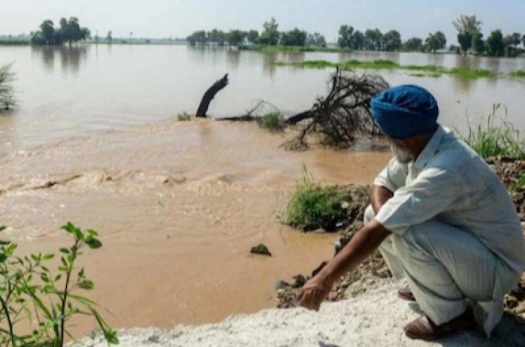 Punjab Flood : बाढ़ में सब कुछ गंवाया..अब पंजाब के किसानों के लिए बढ़े मदद के हाथ..AAP सरकार ने किया बड़े मुआवजे का ऐलान