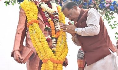 रायपुर : मुख्यमंत्री  विष्णुदेव साय ने संविधान दिवस के अवसर पर डॉ. भीमराव अंबेडकर की प्रतिमा पर माल्यार्पण कर किया नमन