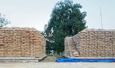 एमसीबी : विशेष लेख : किसान सम्मान का स्वर्णिम दौर - जिले में अब तक 41 हजार क्विंटल से अधिक की धान खरीदी पूरी