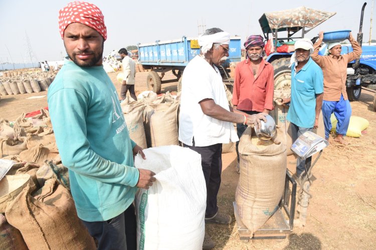 राज्य के सभी जिलों में समर्थन मूल्य पर धान खरीदी का सिलसिला जारी,अब तक 7 लाख 28 हजार 4 क्विंटल धान की हुई खरीदी,,,
