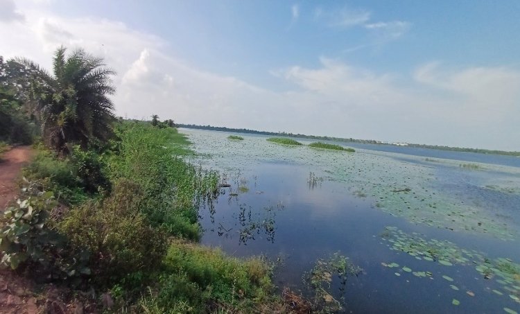 कोपरा जलाशय को मिलेगा रामसर स्थल का दर्जा, राज्य वेटलैंड प्राधिकरण ने भेजा प्रस्ताव,,,