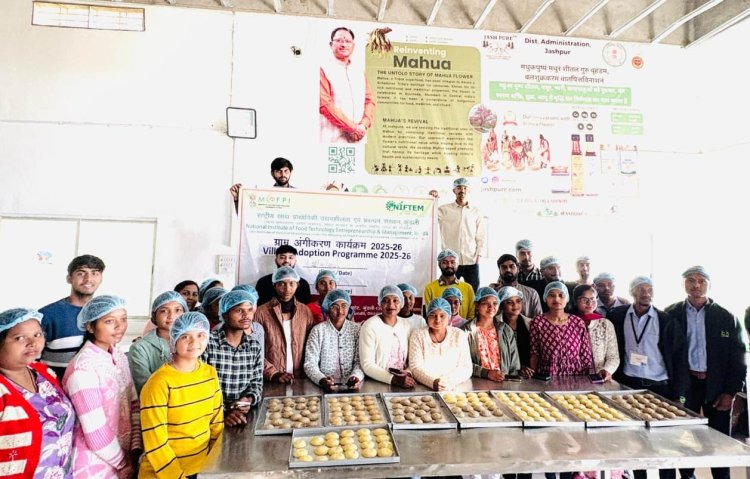 रायपुर : जशपुर के युवाओं को निफ्टेम विशेषज्ञों ने दिया प्रशिक्षण