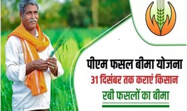 रबी फसलों के लिए फसल बीमा पोर्टल चालू, अंतिम तिथि 31 दिसंबर 2025  