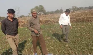 धान से हटकर समृद्धि की राह: जेवरा के किसान दिलीप सिन्हा ने दलहन-तिलहन से कमाए 25 लाख रुपये  