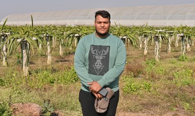 परंपरागत खेती छोड़कर ड्रेगन फ्रूट की राह किसान  