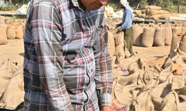 धमतरी : सरकारी खरीदी व्यवस्था से बदली किसान बलवंत की तक़दीर, धान से चना तक बढ़ी आमदनी  