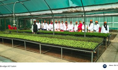 हरित समृद्धि की ओर मजबूत कदम, उद्यानिकी प्रशिक्षण से सशक्त होंगे किसान और युवा  