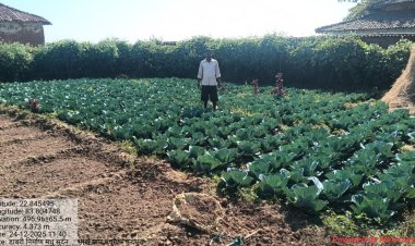 डबरी बनी मधुसूदन के लिए स्थायी आजीविका का आधार : मनरेगा से बदली किसान की तकदीर, जल संरक्षण के साथ बढ़ी आय      