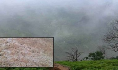 छत्तीसगढ़ के ‘शिमला’ में जमी बर्फ! 2 डिग्री सेल्सियस पहुंचा तापमान, नए साल पहले बढ़ी भीड़