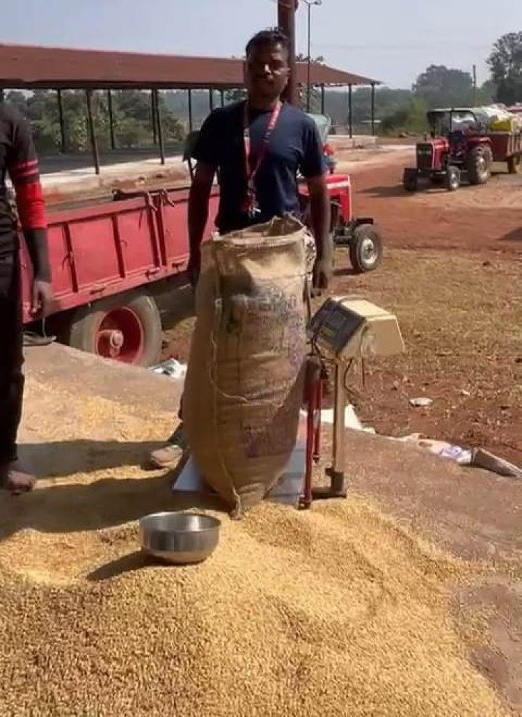 उपार्जन केंद्रों में प्रदेशभर में धान खरीदी सुचारू रूप से जारी