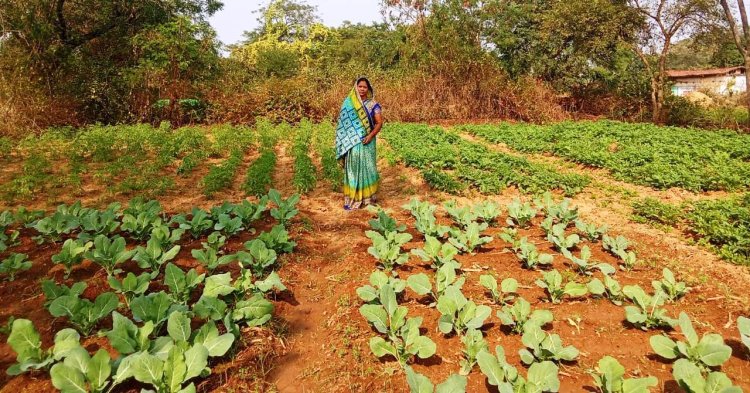 राष्ट्रीय ग्रामीण आजीविका मिशन ‘बिहान’ से बदली तकदीर, आत्मनिर्भरता की बनी मिसाल  