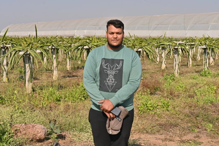 परंपरागत खेती छोड़कर ड्रेगन फ्रूट की राह किसान  