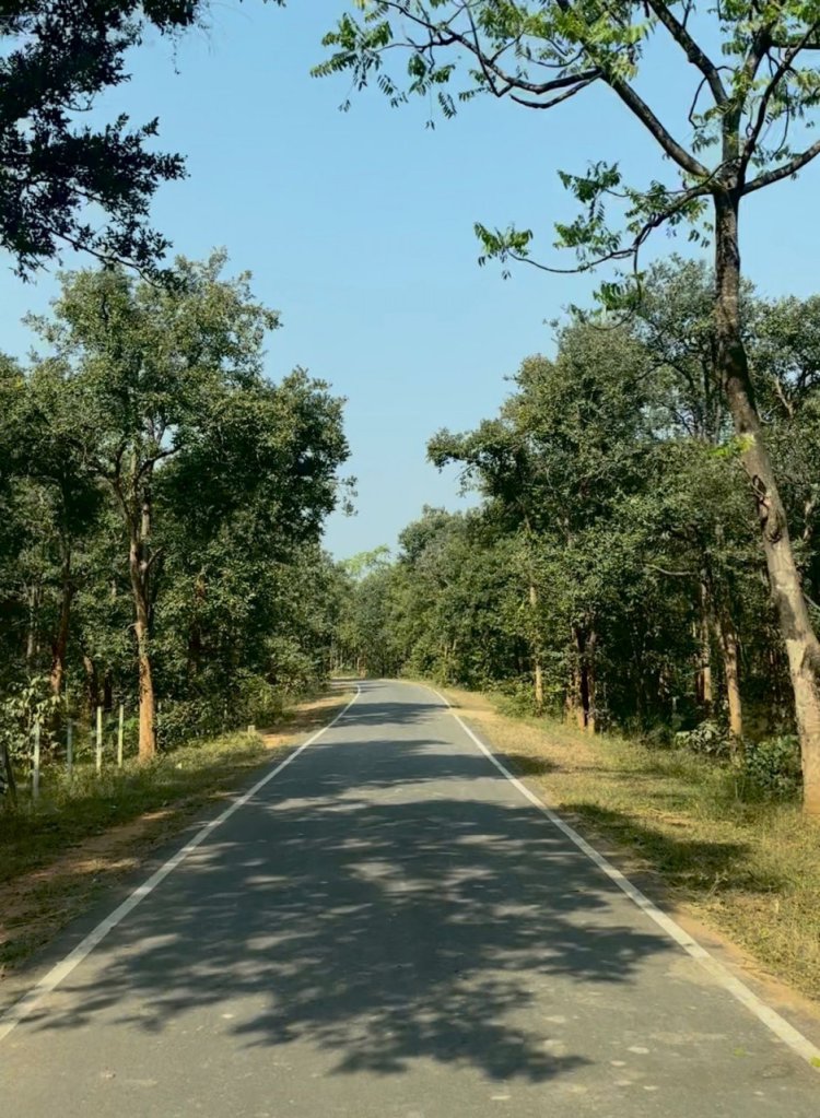 पीएम जनमन योजना से बदली ग्राम बांसकुड़ा कमार बस्ती की तस्वीर