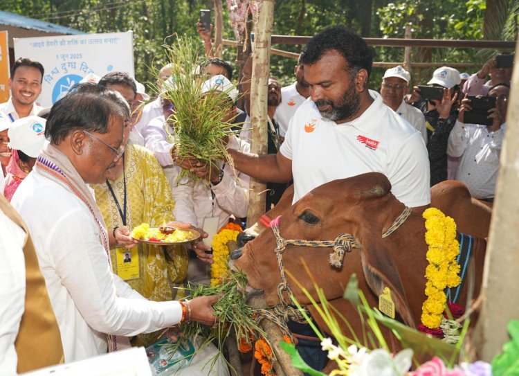 बस्तर संभाग में महिलाएं डेयरी व्यवसाय से बन रही हैं आत्मनिर्भर 