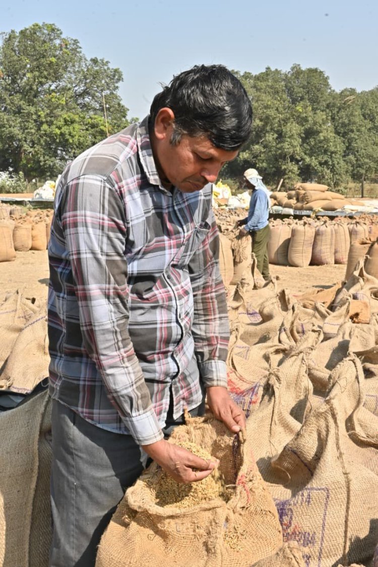 धमतरी : सरकारी खरीदी व्यवस्था से बदली किसान बलवंत की तक़दीर, धान से चना तक बढ़ी आमदनी  