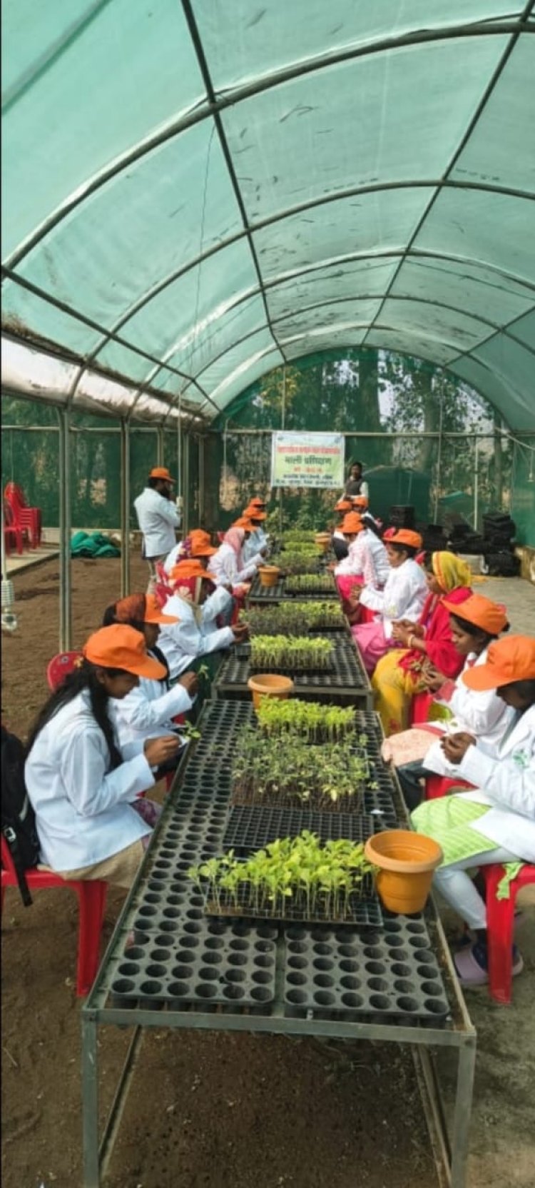 उद्यानिकी प्रशिक्षण से सशक्त होंगे किसान और युवा      