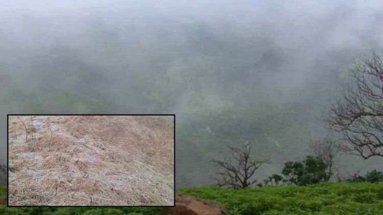 छत्तीसगढ़ के ‘शिमला’ में जमी बर्फ! 2 डिग्री सेल्सियस पहुंचा तापमान, नए साल पहले बढ़ी भीड़