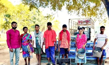 पूवर्ती के ग्रामीणों की आजीविका को मिली नई उड़ान : नियद नेल्लानार योजना से बदली तस्वीर