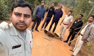 कोरिया, धरमजयगढ़ एवं सूरजपुर वनमण्डल में एंटी स्नेयर वॉक के दौरान शिकार के फंदे जब्त