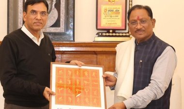 मुख्यमंत्री विष्णु देव साय ने केंद्रीय मंत्री मनसुख मांडविया से की भेंट