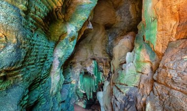 कांगेर घाटी में मिली अनोखी 'ग्रीन गुफा'  