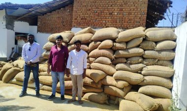 अवैध धान परिवहन एवं भंडारण पर कार्रवाई, 772 कट्टा धान जब्त  