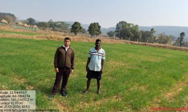 कम लागत में ज्यादा मुनाफा: रबी में गेहूं की खेती से किसानों की बढ़ी आमदनी