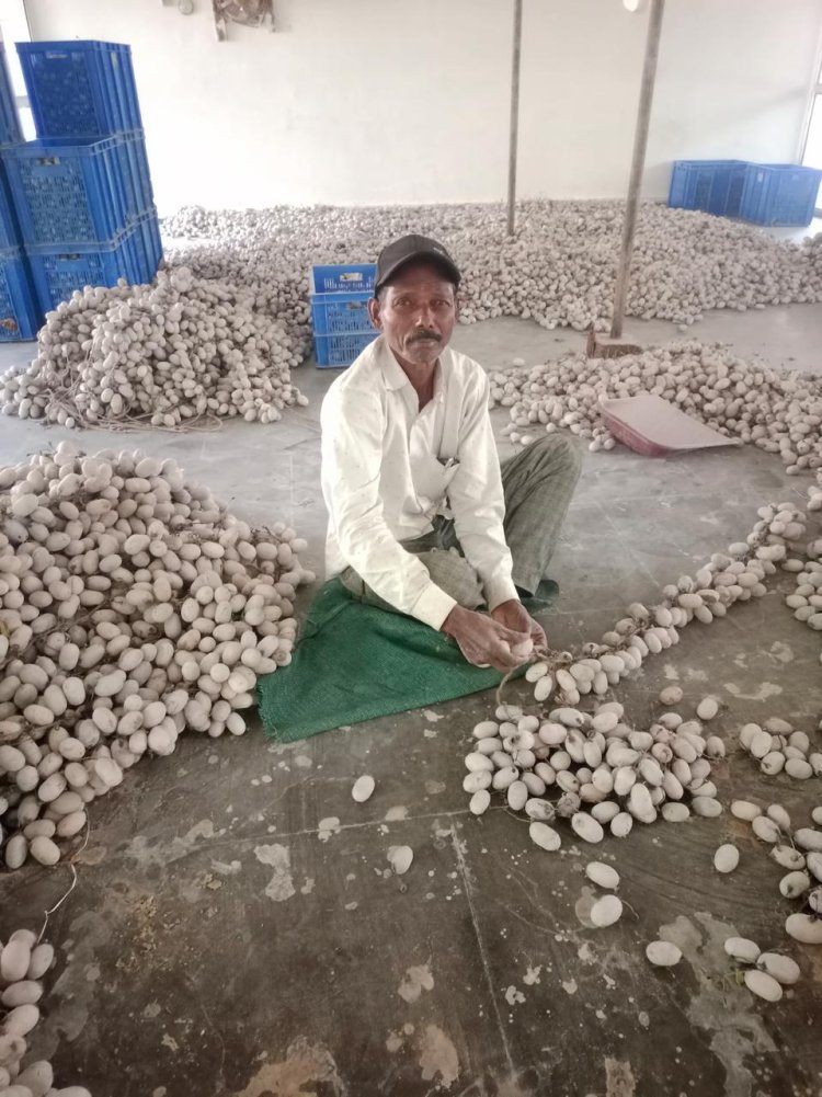 तसर पालन ने बदल दी जिंदगी - ग्राम सलोरा के किसान श्री भरत राम केवट बने आत्मनिर्भर