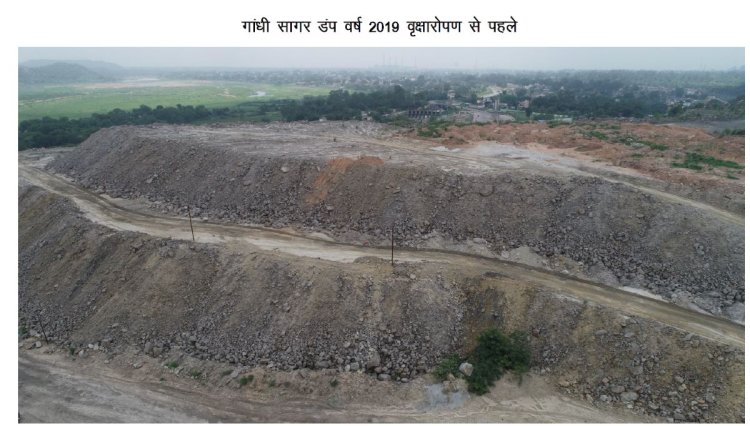 माइनिंग डंप में हरित क्रांति- कोरबा गांधीसागर डंप क्षेत्र में सफल वृक्षारोपण : एसईसीएल और वन विकास निगम की संयुक्त पर्यावरणीय पहल